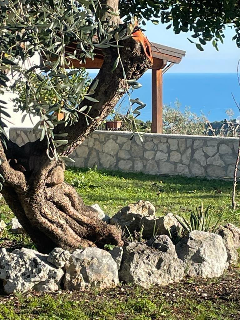 Tenuta Solleone Peschici Ngoại thất bức ảnh